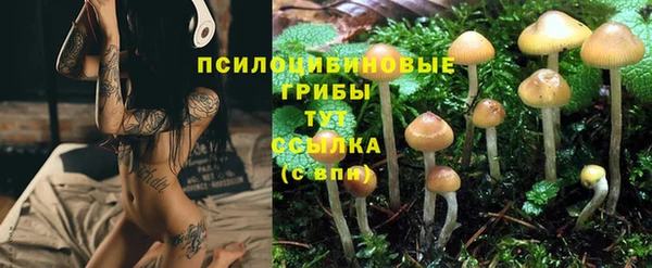 PSILOCYBIN Баксан